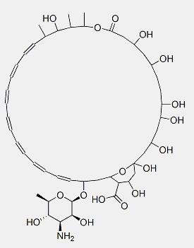 Amphotericin B