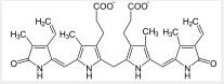 Bilirubin