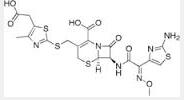 Cefodizime acid Cefodizime acid