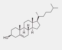 Cholesterol Cholesterol