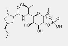 Clindamycin phosphate Clindamycin phosphate