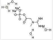 Creatine phosphate disodium salt