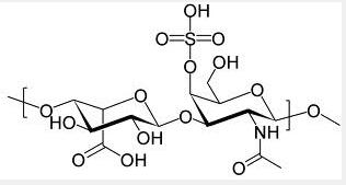 DERMATAN SULFATE DERMATAN SULFATE
