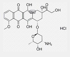 Doxorubicin HCl/Adriamycin Doxorubicin HCl/Adriamycin