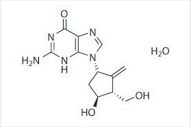 Entecavir hydrate Entecavir hydrate