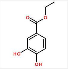 Ethyl 3,4-dihydroxybenzoate;protocatechuic acid ethyl ester Ethyl 3,4-dihydroxybenzoate;protocatechuic acid ethyl ester