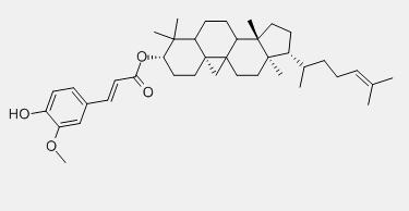 Gamma oryzanol Gamma oryzanol