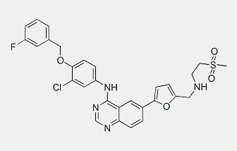 Lapatinib base Lapatinib base