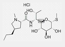 Lincomycin hydrochloride Lincomycin hydrochloride