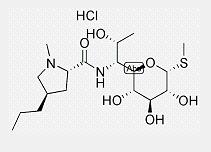 Lincomycin hydrochloride