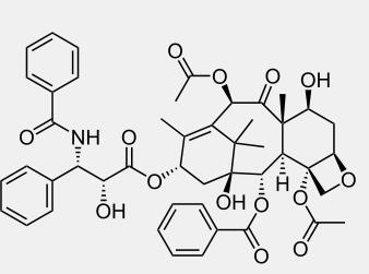 Paclitaxel Paclitaxel