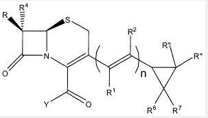 Parent nucleus of Cefditoren