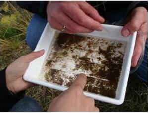 Pond sediment modifyingagent Pond sediment modifyingagent