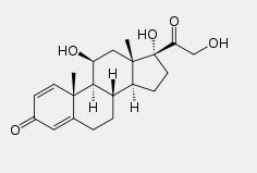 Prednisolone Prednisolone