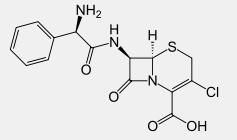 The Introduction of Cefaclor
