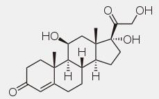 The Introduction of Hydrocortisone