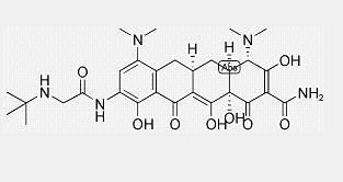 Tigecycline Tigecycline