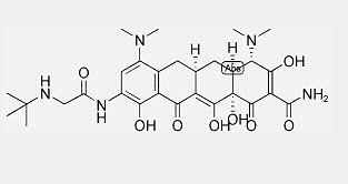 Tigecycline