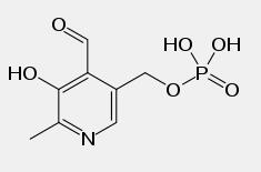 Vitamin B6