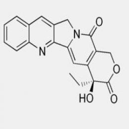 Camptothecin