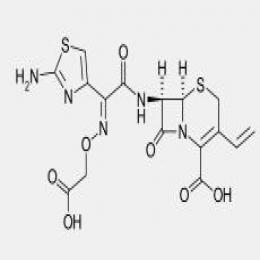 Cefixime Cefixime
