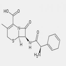 Cephradine