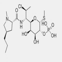 Clindamycin phosphate