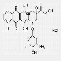 Doxorubicin HCl/Adriamycin