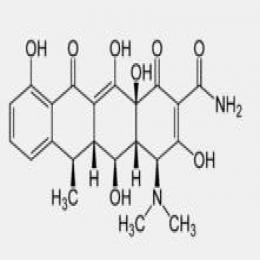 Doxycycline