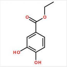 Ethyl 3,4-dihydroxybenzoate;protocatechuic acid ethyl ester