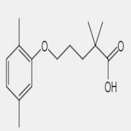 Gemfibrozil Gemfibrozil