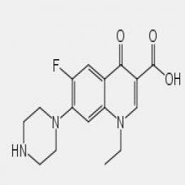 Norfloxacin Norfloxacin