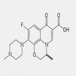 Ofloxacin Ofloxacin