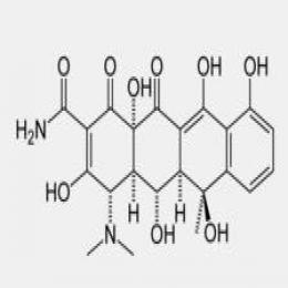 Oxytetracycline