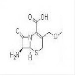 Parent nucleus of Cefpodoxime