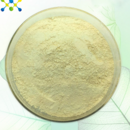 Baikal Skullcap Root extract(Scutellaria Baicalensis Extract)